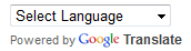 Translator